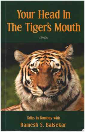 Your Head in Tigers Mouth Cover