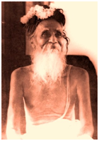 Sri Sri Sitaramdas Omkarnath